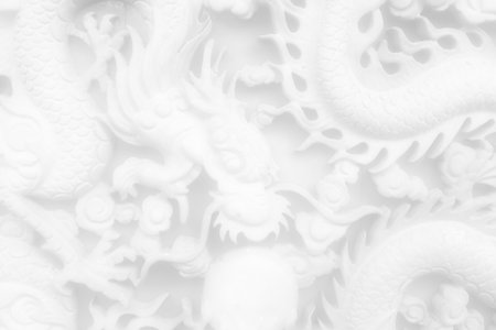White Dragon Wall Texture Background.の写真素材