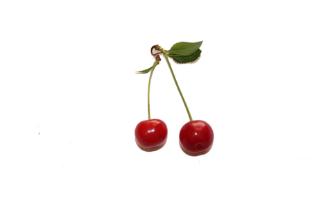 cherryの写真素材