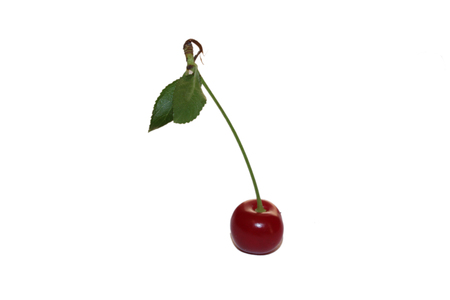 one cherryの写真素材