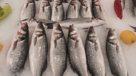 Frozen Fish