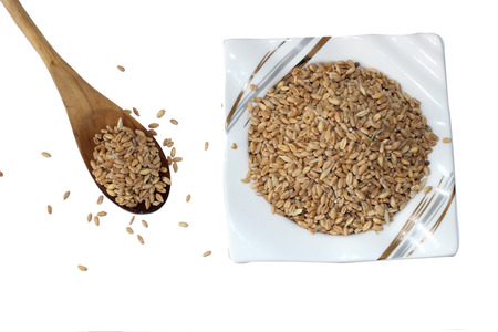 wheatの写真素材