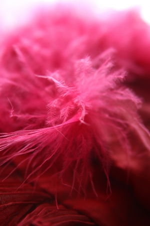 soft texture for backgroundsの写真素材