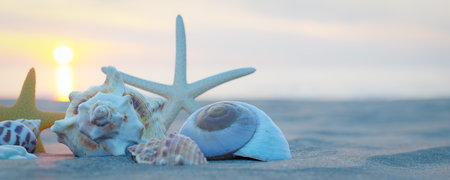 Sunset on the sea and seashells on the sand. 3d rendering