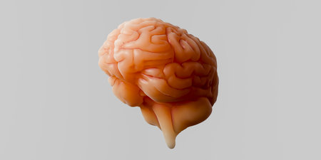 Mental health care and treatment concept image.3d renderingの写真素材
