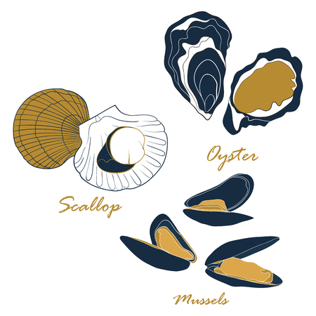 Shellfish vector set isolated on white background. Seafood restaurants, fish market label, infographics, food packaging or underwater sea animal themes design.のイラスト素材