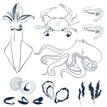 Set of seafood hand drawn elements. Outline vector illustration. Octopus, crab, shrimps, squid, oyster,mussels,scallop and kelp.のイラスト素材