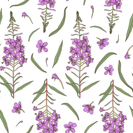 Willow herb seamless pattern. Hand drawn botanical vector illustration for packaging, textile print, wallpaper, wrapping paper.のイラスト素材