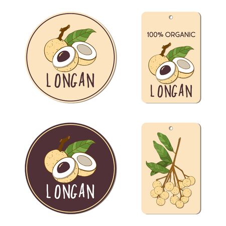 Vector labels set with longan fruit. Hand drawn tropical vietnamese fruit illustration for packaging design.のイラスト素材