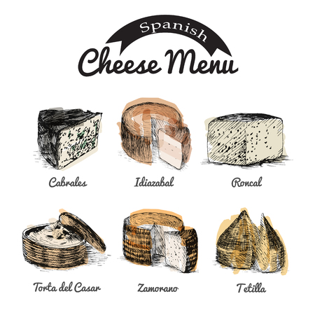 illustrated Set # 1 of Spanish Cheese Menu. Illustrative sorts of cheese from Spainのイラスト素材