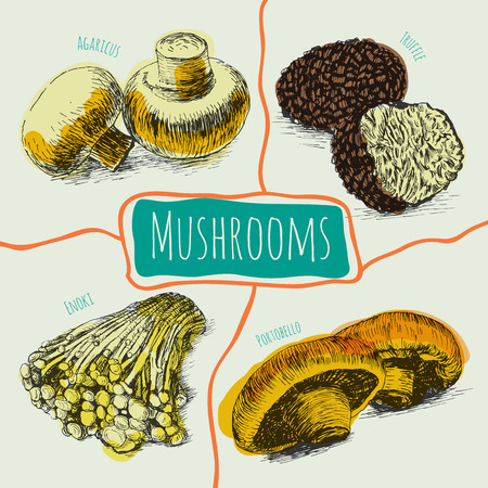 Illustrative colorful sorts of mushroomsのイラスト素材