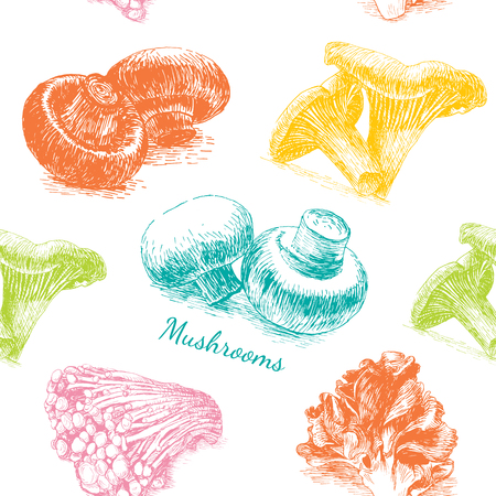 Illustrative sorts of mushrooms in seamless backgroundのイラスト素材