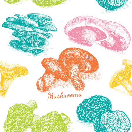 Illustrative sorts of mushrooms in seamless backgroundのイラスト素材