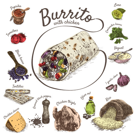 illustration of burrito ingredients. Hand drawn colorful illustration on white backgroundのイラスト素材