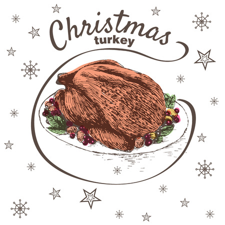 Vector colorful illustration of Christmas turkey with herbs and berries. Christmas turkey on white background with snowflakesのイラスト素材