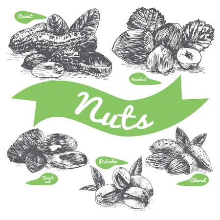 Vector illustration black and white set with nuts. Different sort of nuts on white backgroundのイラスト素材
