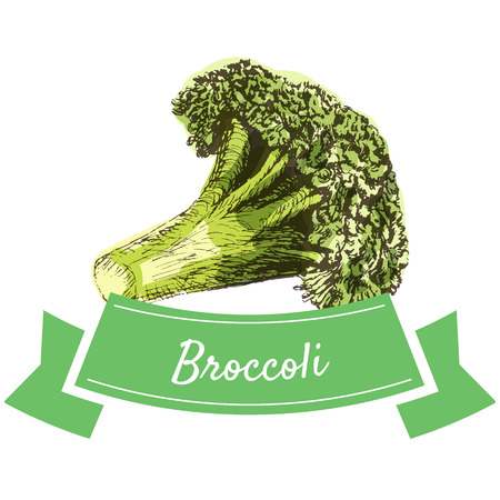 Vector illustration colorful set with broccoli. Illustration sorts of vegetables on white backgroundのイラスト素材