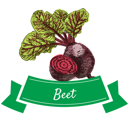 Vector illustration colorful set with beet. Illustration sorts of vegetables on white backgroundのイラスト素材
