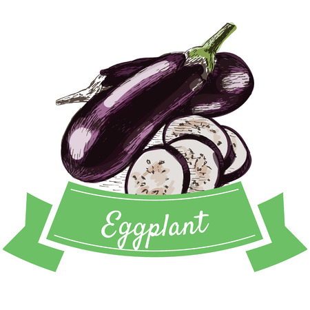 Vector illustration colorful set with eggplant. Illustration sorts of vegetables on white backgroundのイラスト素材