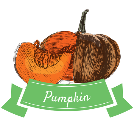 Vector illustration colorful set with pumpkin. Illustration sorts of vegetables on white backgroundのイラスト素材