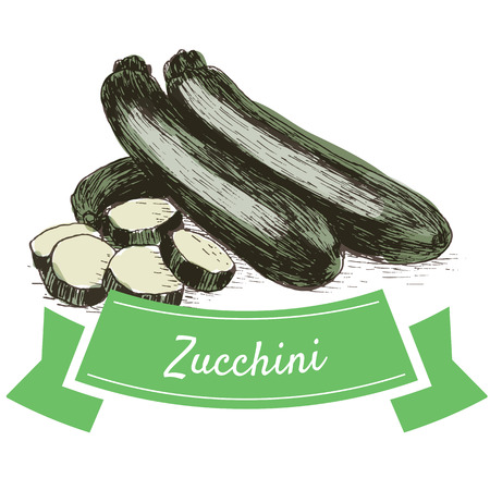Vector illustration colorful set with zucchini. Illustration sorts of vegetables on white backgroundのイラスト素材
