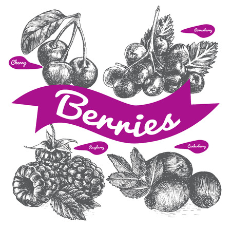 Vector illustration black and white set with berries. Various of berries on white backgroundのイラスト素材
