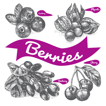 Vector illustration black and white set with berries. Various of berries on white backgroundのイラスト素材