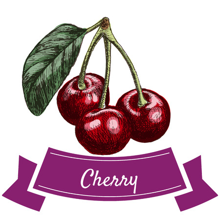 Vector illustration colorful set with cherry. Illustration various of vegetables on white backgroundのイラスト素材