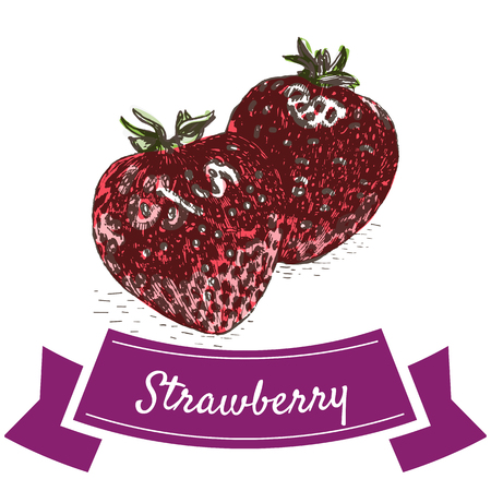 Vector illustration colorful set with strawberry. Illustration various of vegetables on white backgroundのイラスト素材