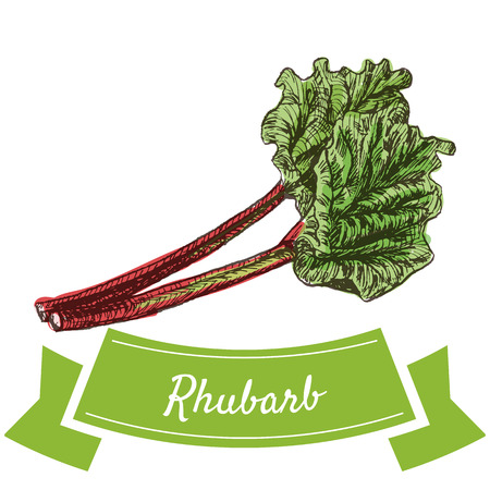 Vector illustration colorful set with rhubarb. Illustration various of vegetables on white backgroundのイラスト素材