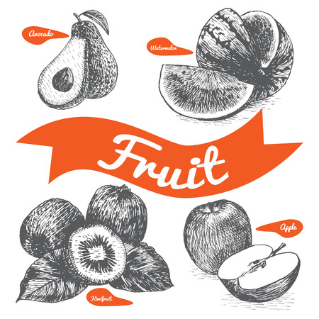 Vector illustration black and white set with fruits. Various of fruits on white backgroundのイラスト素材