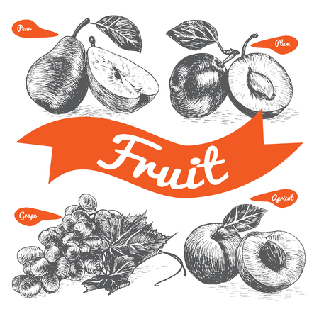 Vector illustration black and white set with fruits and berries. Various of fruits and berries on white backgroundのイラスト素材