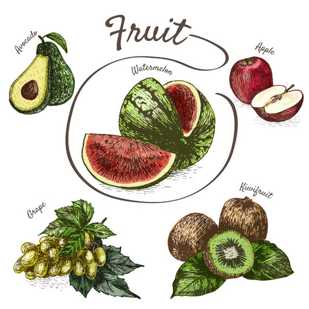 Vector illustration colorful set with fruits and berries. Various of fruits and berries on white backgroundのイラスト素材