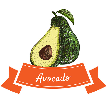 Vector illustration colorful set with avocado. Illustration of fruitsのイラスト素材