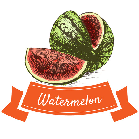 Vector illustration colorful set with watermelon. Illustration of fruitsのイラスト素材
