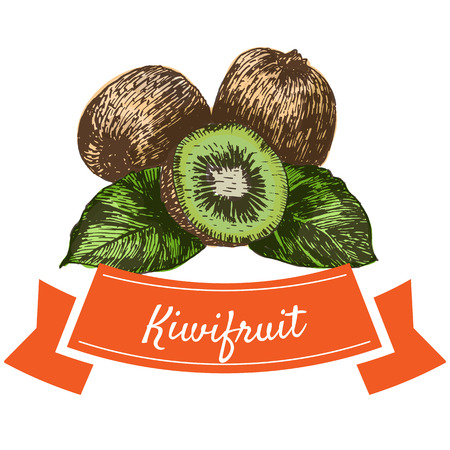Vector illustration colorful set with kiwifruit. Illustration of fruitsのイラスト素材