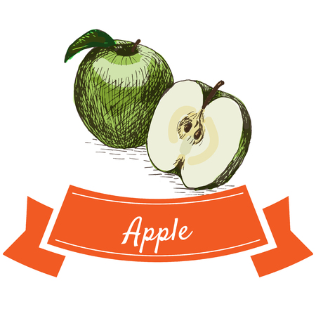 Vector illustration colorful set with green apple. Illustration of fruitsのイラスト素材