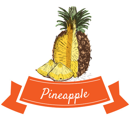 Vector illustration colorful set with pineapple. Illustration of fruitsのイラスト素材