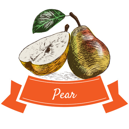 Vector illustration colorful set with pear. Illustration of fruitsのイラスト素材