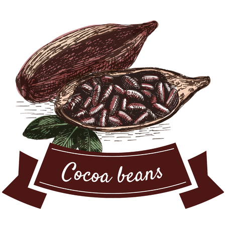 Vector colorful illustration with cocoa beans. Illustration of cocoa beans on white backgroundのイラスト素材