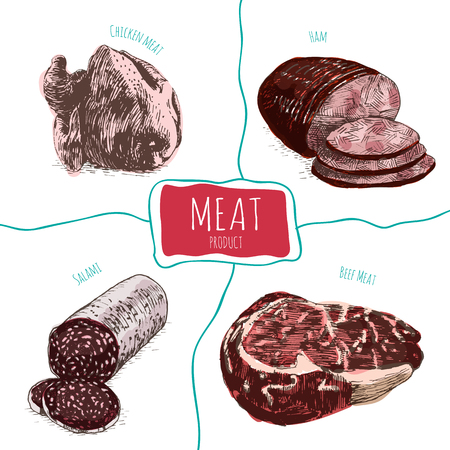 Meat set illustration. Vector colorful illustration of meat.のイラスト素材