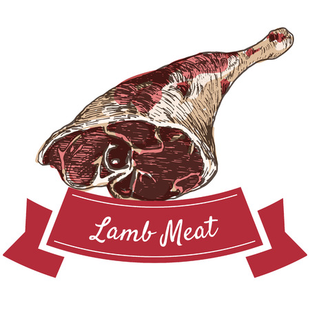 Lamb meat colorful illustration. Vector illustration of lamb meat.のイラスト素材