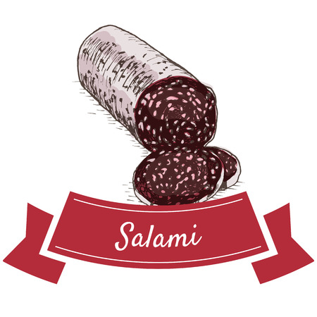 Salami colorful illustration. Vector illustration of salami.のイラスト素材