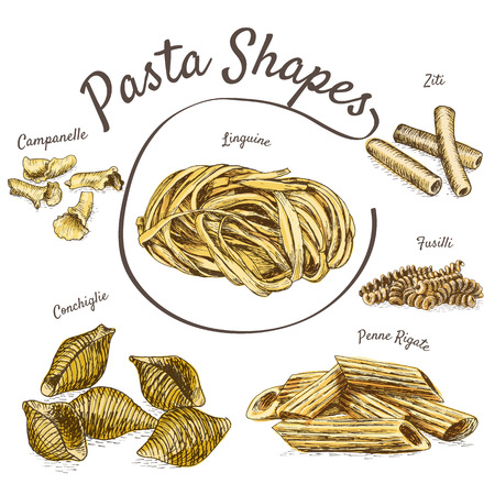 Pasta illustration set. Vector illustration of pasta.のイラスト素材
