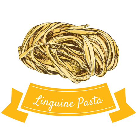 Linguine pasta colorful illustration. Vector illustration of Linguine pasta.のイラスト素材