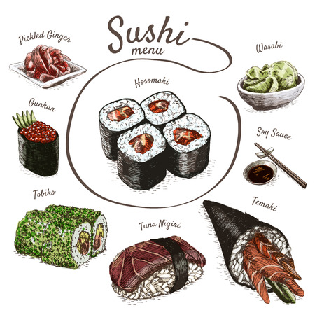 Illustration of various sort of sushi. Colorful illustration of sushiのイラスト素材