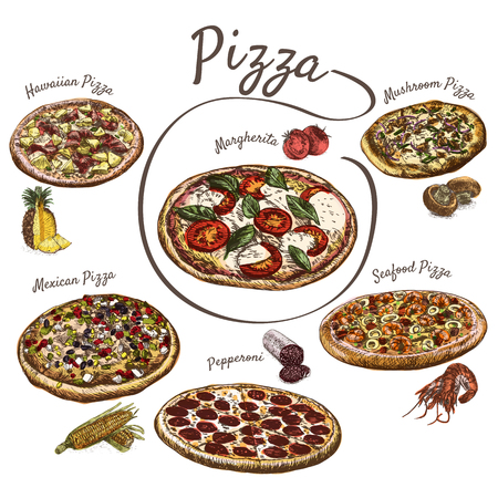 Illustration of various sort of pizzas. Colorful illustration of pizzasのイラスト素材