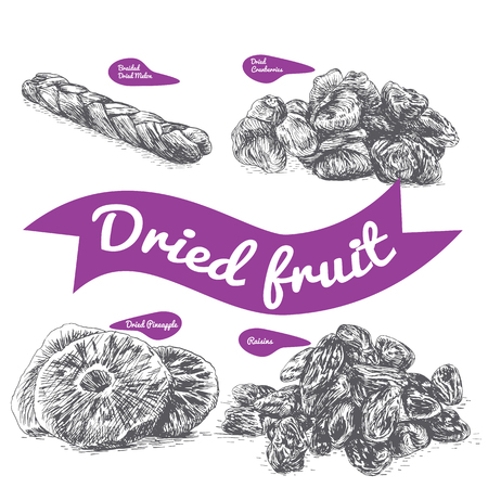 Dried fruit illustration. Vector illustration of dried fruit.のイラスト素材