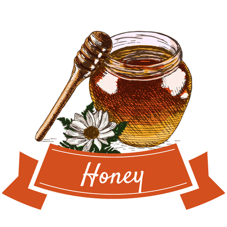 Honey colorful illustration. Vector colorful illustration of honey.のイラスト素材