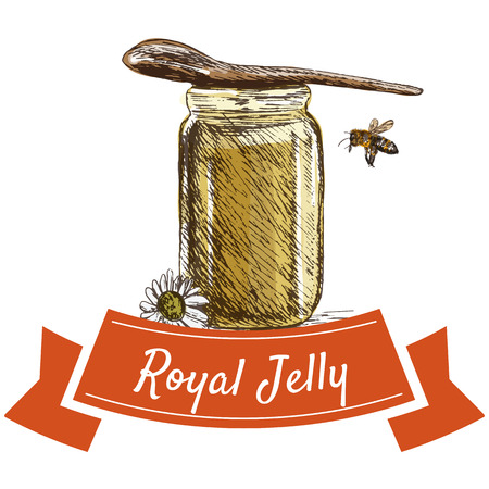 Royal jelly colorful illustration. Vector colorful illustration of royal jelly.のイラスト素材