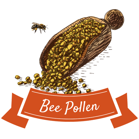 Bee pollen colorful illustration. Vector colorful illustration of bee pollen.のイラスト素材